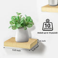 Wall-Mounted Floating Shelf