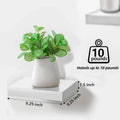 Wall-Mounted Floating Shelf