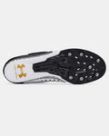Under Armour HOVR Skyline Long Jump Unisex Track Spikes