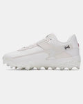 Under Armour Harper 10 Pro TPU Men's Baseball Cleats