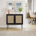 2-Door Rattan Storage Cabinet with Sideboard Design
