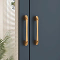 Modern Wardrobe Armoire with Mirror Door Drawers and Shelves