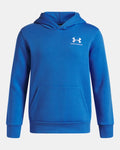 Under Armour Icon Fleece Boys' Hoodie