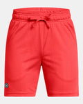 Under Armour Icon Mesh Boys' Shorts