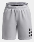 Under Armour Next Gen Boys' Shorts