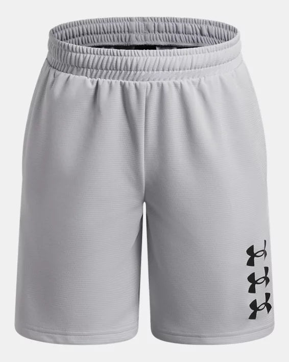 Under Armour Next Gen Boys' Shorts