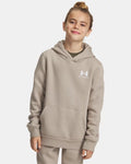 Under Armour Icon Fleece Boys' Hoodie