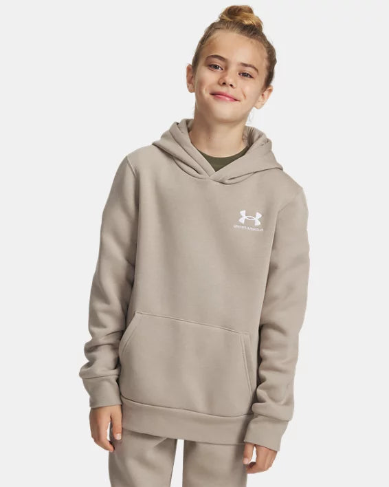 Under Armour Icon Fleece Boys' Hoodie